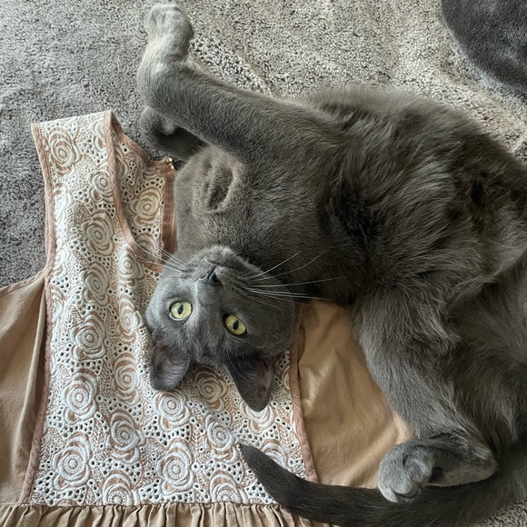 Meet your Posher, Holly 💗 - Picture 8 of 10